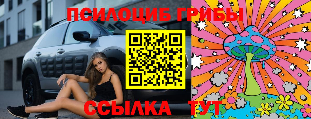 Псилоцибиновые грибы MAGIC MUSHROOMS Сухой Лог