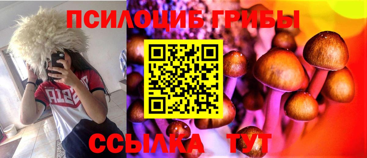 Галлюциногенные грибы Cubensis  Вход с VPN  Сухой Лог 